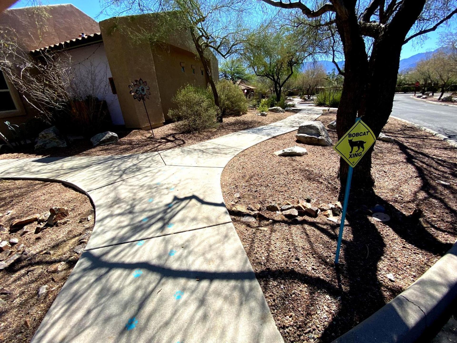 Worldmark Rancho Vistoso Oro Valley Ngoại thất bức ảnh